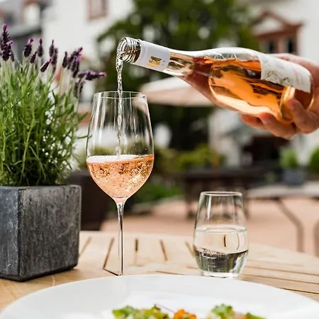 Kronenschloesschen 4*