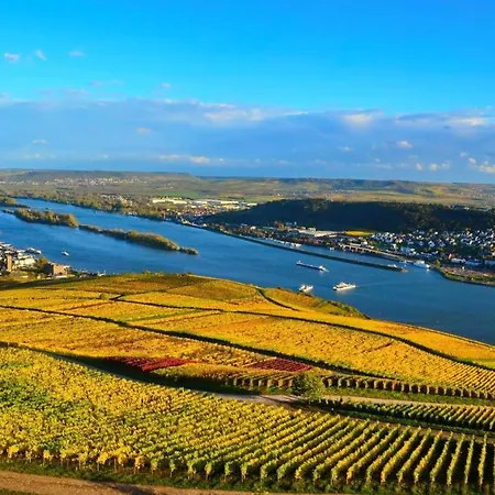 Kronenschloesschen Hotel 4*