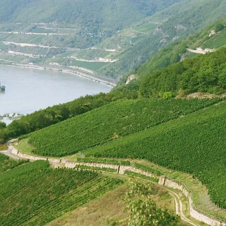 Kronenschloesschen Eltville am Rhein