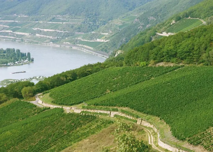 Kronenschloesschen Eltville am Rhein